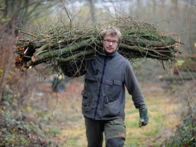 Coppicing used for RBS flyer jpg