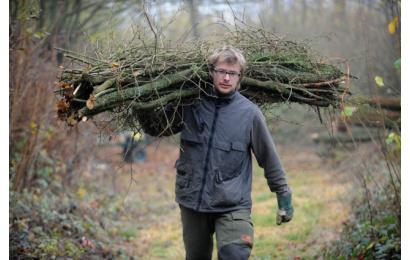 Coppicing used for RBS flyer jpg